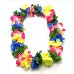 Гаваи Цветное ожерелье